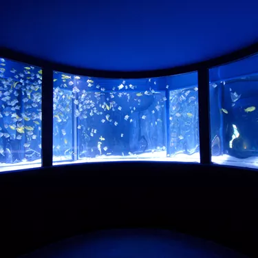 Gardaland SEA LIFE Aquarium - Ring-Becken