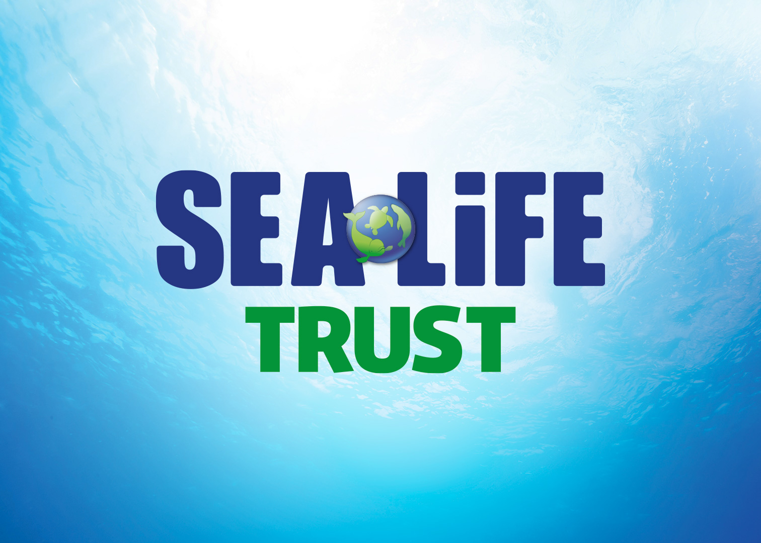 Gardaland SEA LIFE Aquarium - SEA LIFE Trust