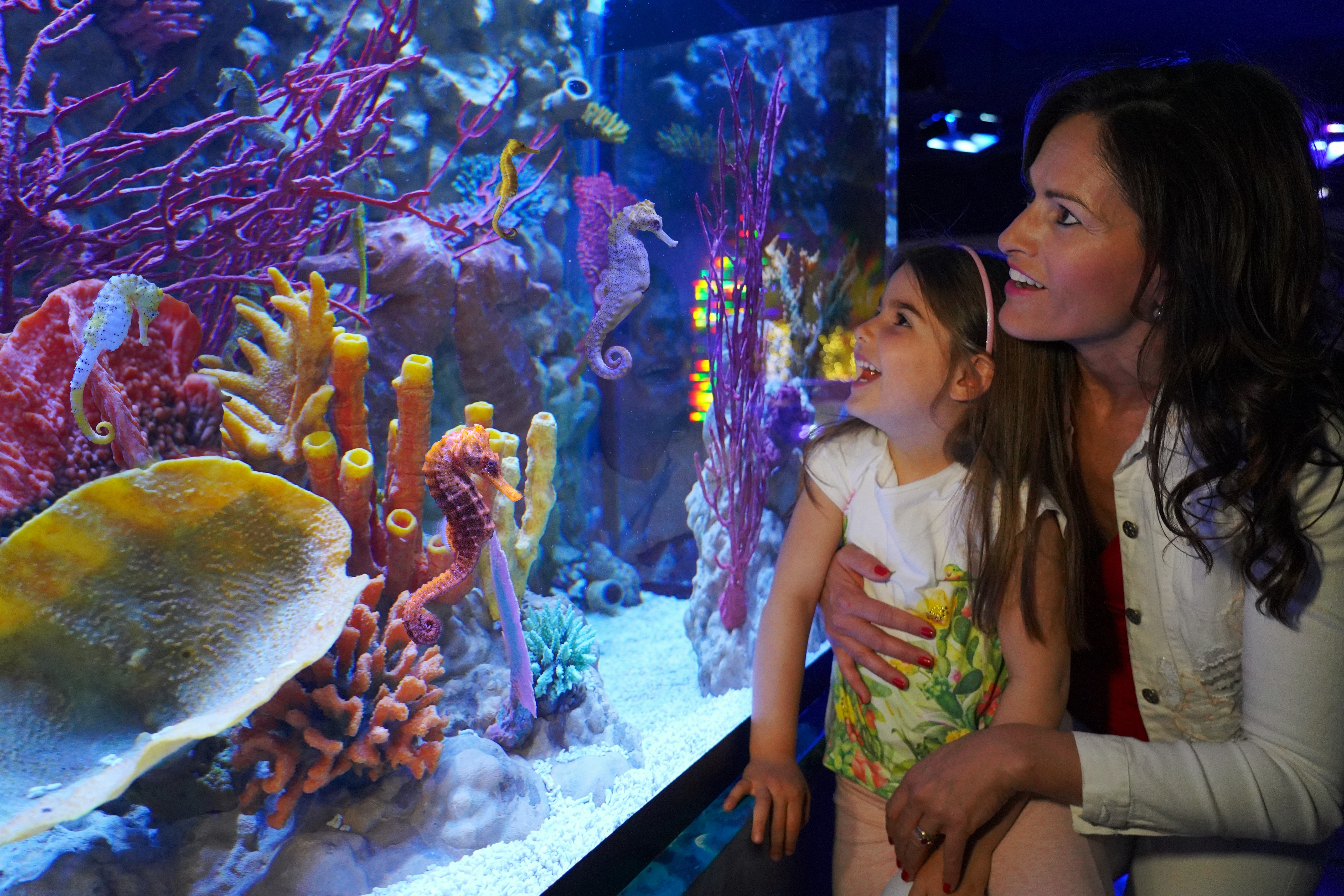 Gardaland SEA LIFE Aquarium - Mutter mit Kind