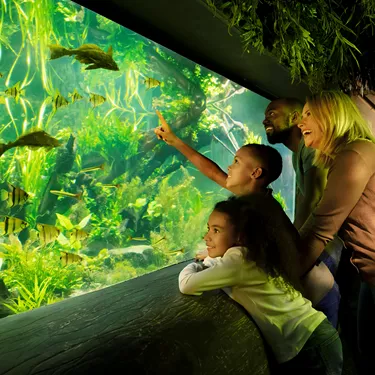 Gardaland SEA LIFE Aquarium - Amazonas
