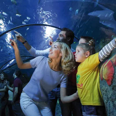 Tunnel Oceanico - Gardaland SEA LIFE Aquarium