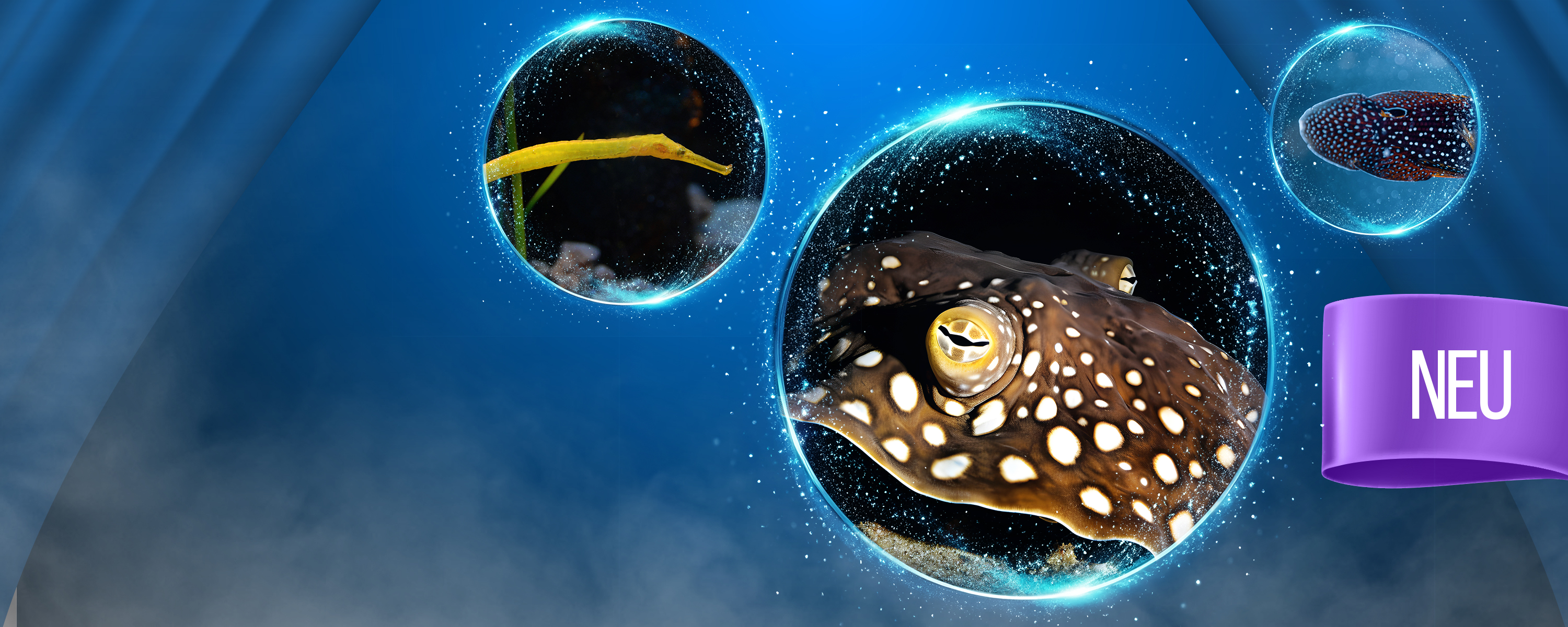 KV SEA LIFE BLACK BOX SLIDER DESKTOP DE